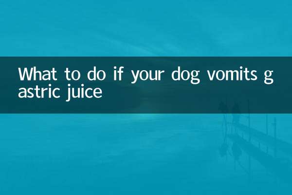 اگر سگ شما آب معده استفراغ کرد چه باید کرد؟