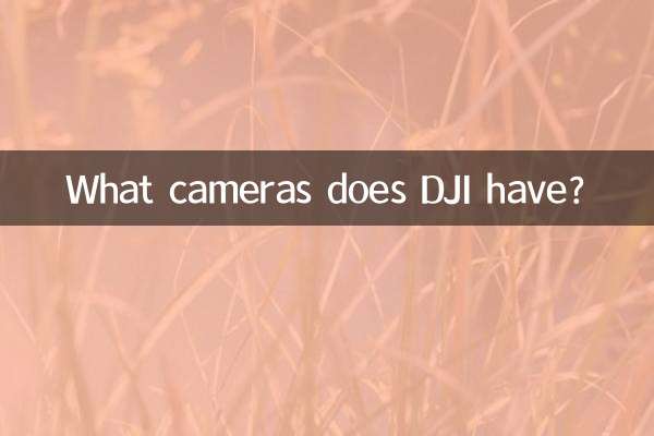 Welche Kameras hat DJI?