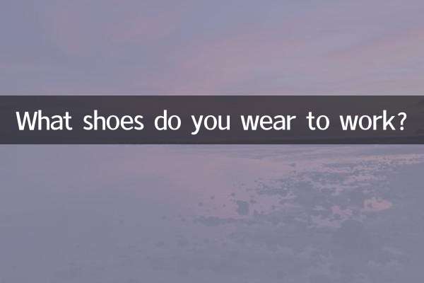 仕事にはどんな靴を履いていますか？
