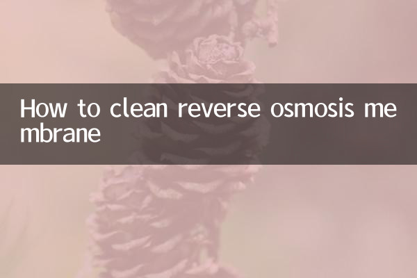 ریورس اوسموسس جھلی کو کیسے صاف کریں