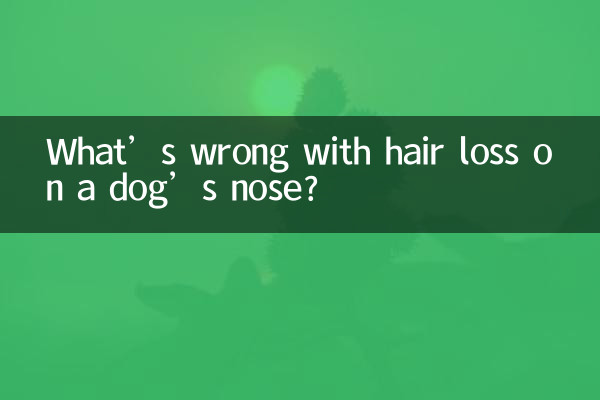 What’s wrong with hair loss on a dog’s nose?