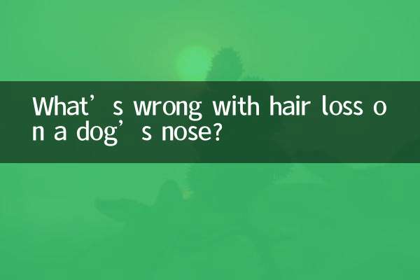 What’s wrong with hair loss on a dog’s nose?