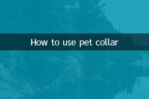 ペットの首輪の使い方