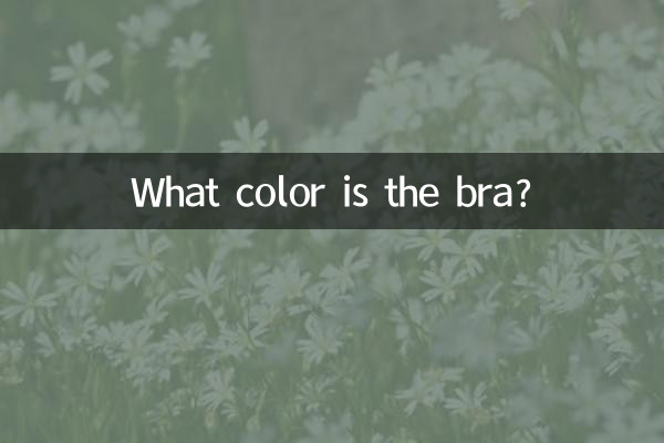 ブラジャーは何色ですか?