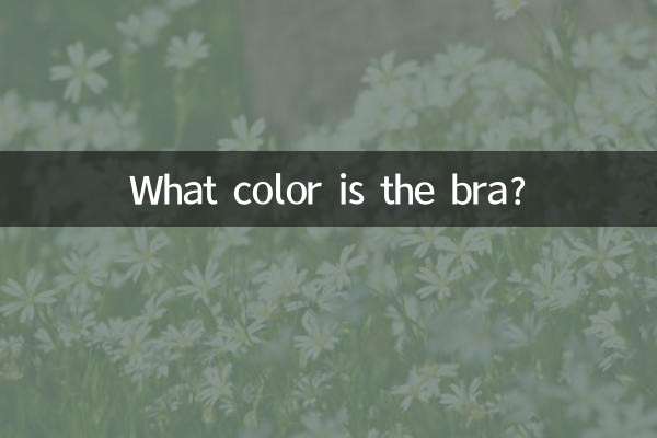 ブラジャーは何色ですか？