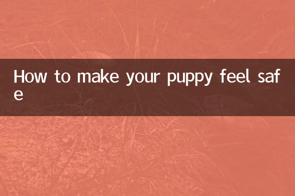Comment faire en sorte que votre chiot se sente en sécurité