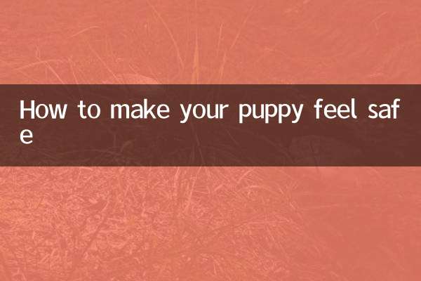 子犬に安心感を与える方法