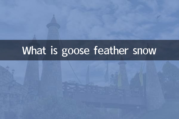 ガチョウの羽雪とは