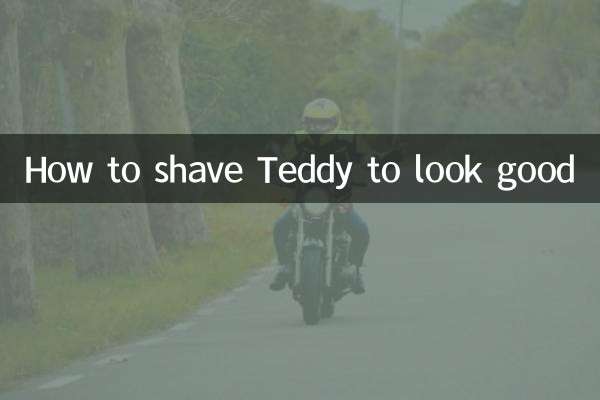 Comment raser Teddy pour bien paraître