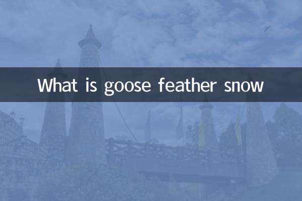¿Qué es la nieve de plumas de ganso?