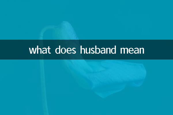 पति का क्या मतलब है