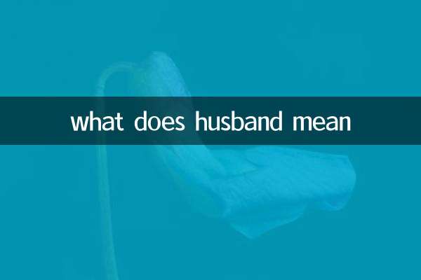 पति का क्या मतलब है