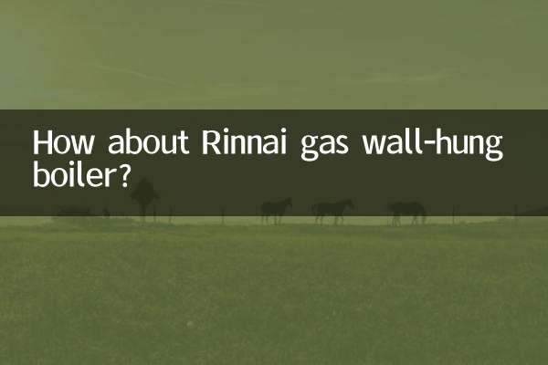 دیگ دیواری گازی Rinnai چطور؟