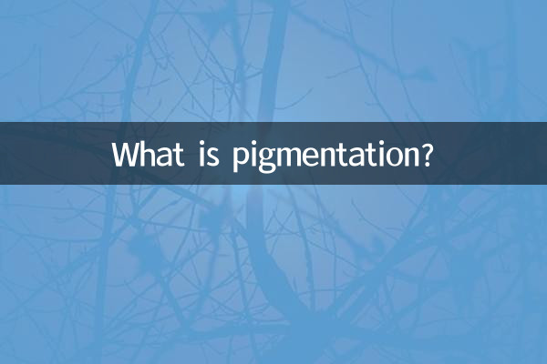 পিগমেন্টেশন কি?