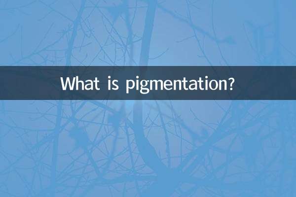 পিগমেন্টেশন কি?
