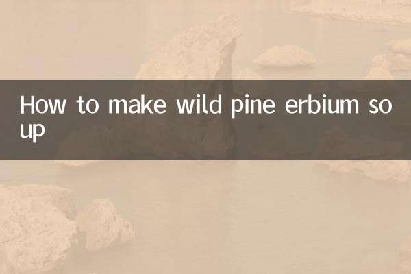 野生松铒怎么煲汤