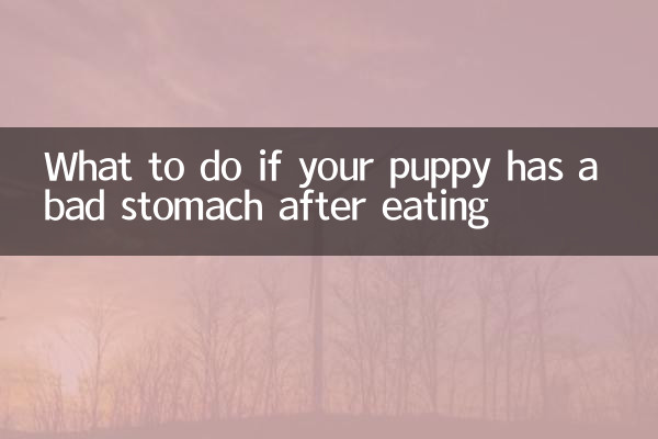 यदि आपके पिल्ले का खाने के बाद पेट खराब हो जाए तो क्या करें?