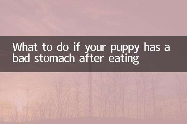 यदि आपके पिल्ले का खाने के बाद पेट खराब हो जाए तो क्या करें?