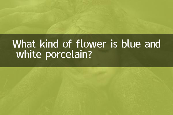 Quel genre de fleur est la porcelaine bleue et blanche ?