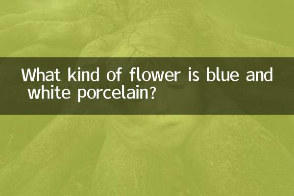 Quel genre de fleur est la porcelaine bleue et blanche ?