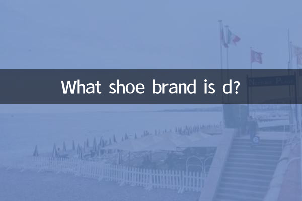 d是什麼鞋子品牌