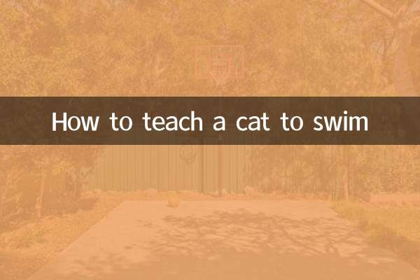 بلی کو تیرنا سکھائیں