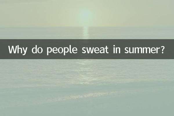 ¿Por qué la gente suda en verano?