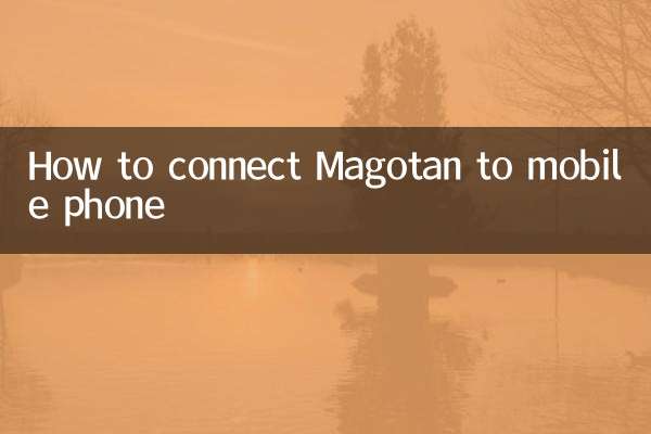 마고탄을 휴대폰에 연결하는 방법