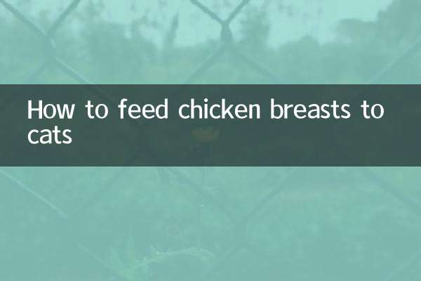 Come dare il petto di pollo ai gatti