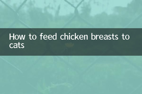 بلیوں کو چکن کے سینوں کو کیسے کھانا کھلانا ہے