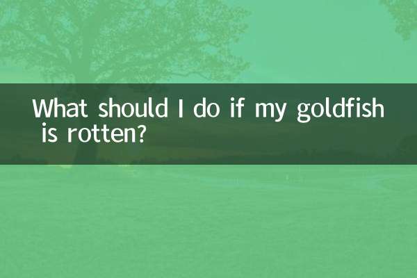 اگر ماهی قرمز من پوسیده است چه کار کنم؟