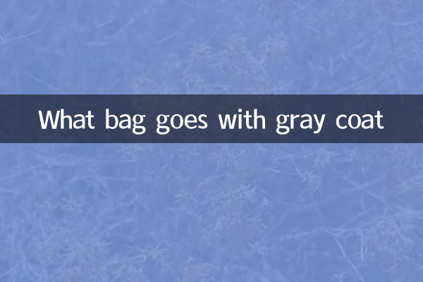 ग्रे कोट के साथ कौन सा बैग अच्छा लगता है?