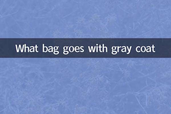 ग्रे कोट के साथ कौन सा बैग अच्छा लगता है?