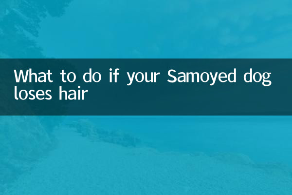 আপনার Samoyed কুকুর চুল হারায় কি করবেন?