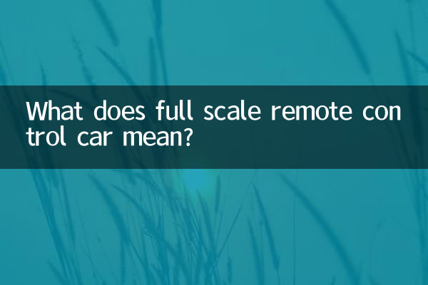 本格ラジコンカーとはどういう意味ですか？