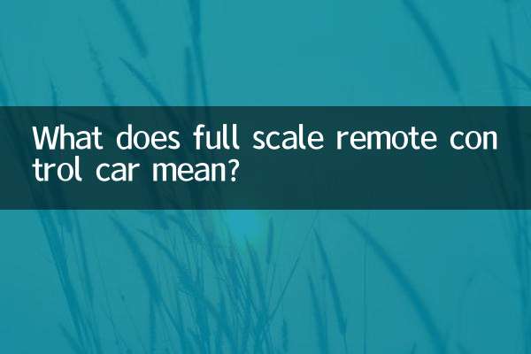 本格ラジコンカーとはどういう意味ですか？