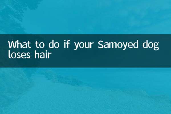 萨摩耶犬掉毛怎么办