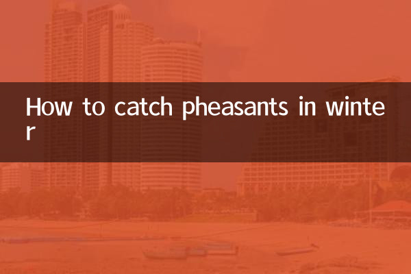 How to catch pheasants in winter