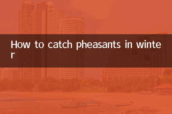 Comment attraper des faisans en hiver
