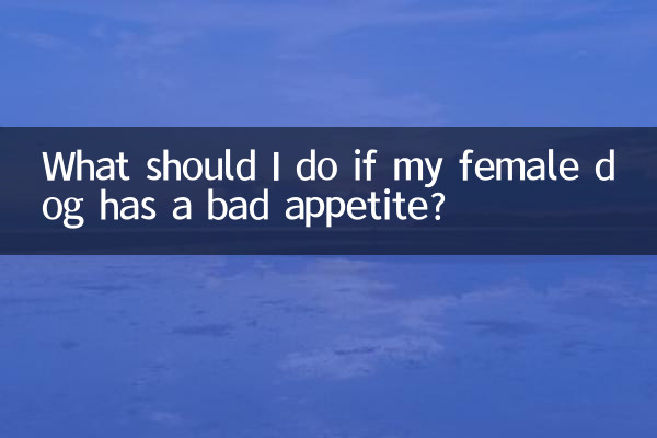 اگر میرے خاتون کتے کو بری بھوک ہے تو مجھے کیا کرنا چاہئے؟