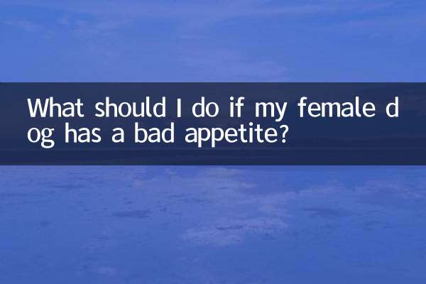 اگر میرے خاتون کتے کو بری بھوک ہے تو مجھے کیا کرنا چاہئے؟