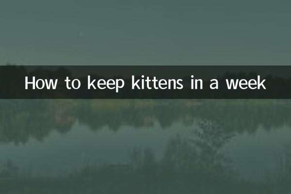 How to keep kittens in a week