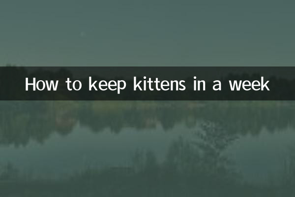一周小猫怎么养