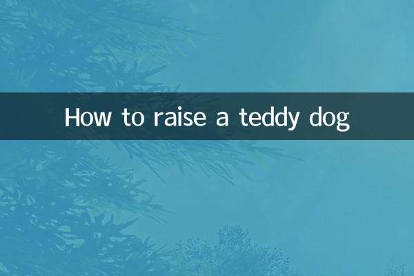 Comment élever un chien en peluche