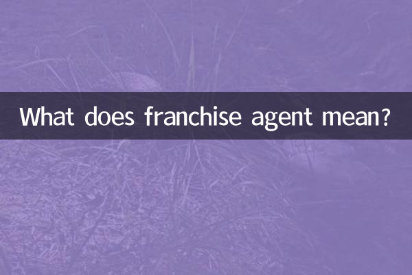 What does franchise agent mean?