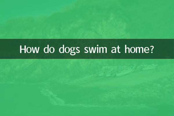 狗狗怎麼在家游泳