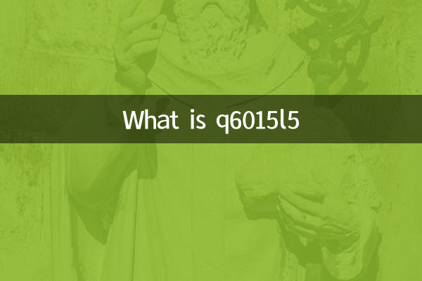 ¿Qué es q6015l5?