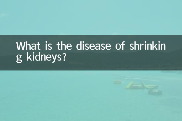 What is the disease of shrinking kidneys?