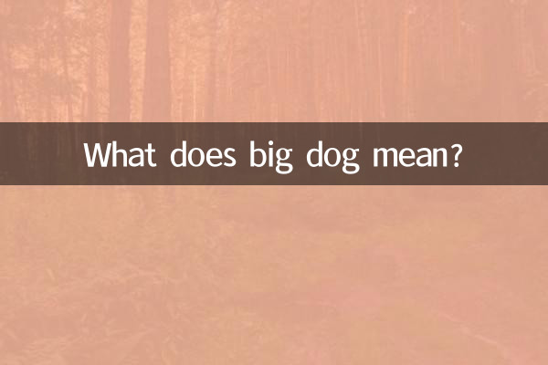 Que signifie gros chien ?