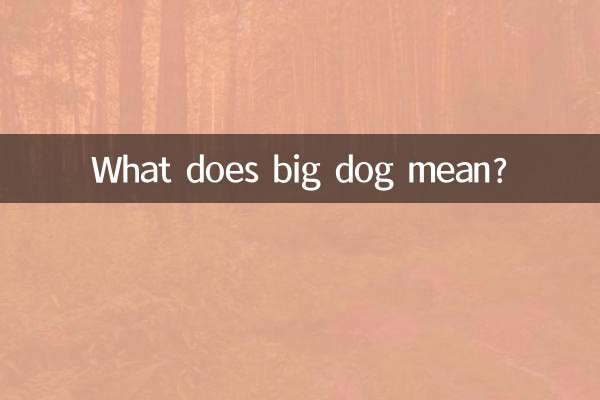 Que signifie gros chien ?